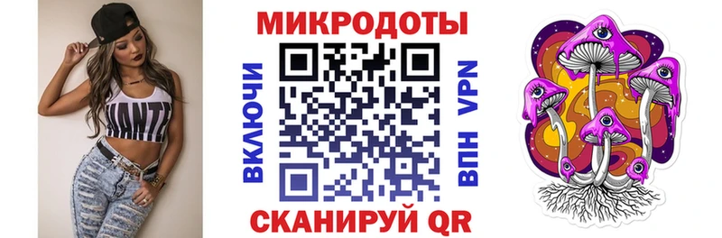 где купить   Арзамас  Галлюциногенные грибы Psilocybine cubensis 